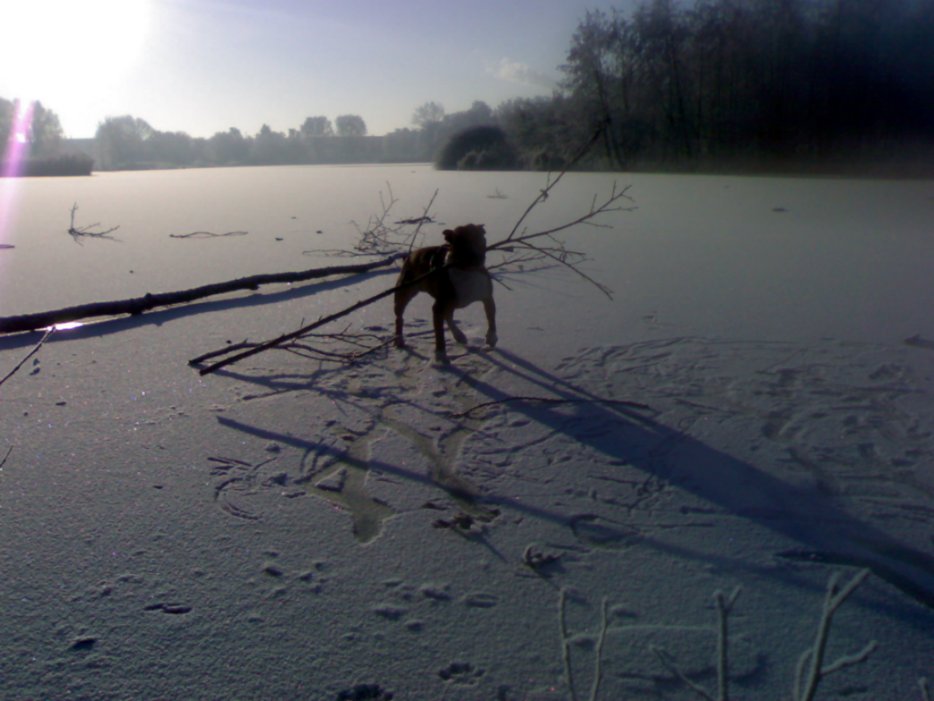 Iceskating...