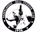 N.B.T.C: Dutch Bull Terrier Club