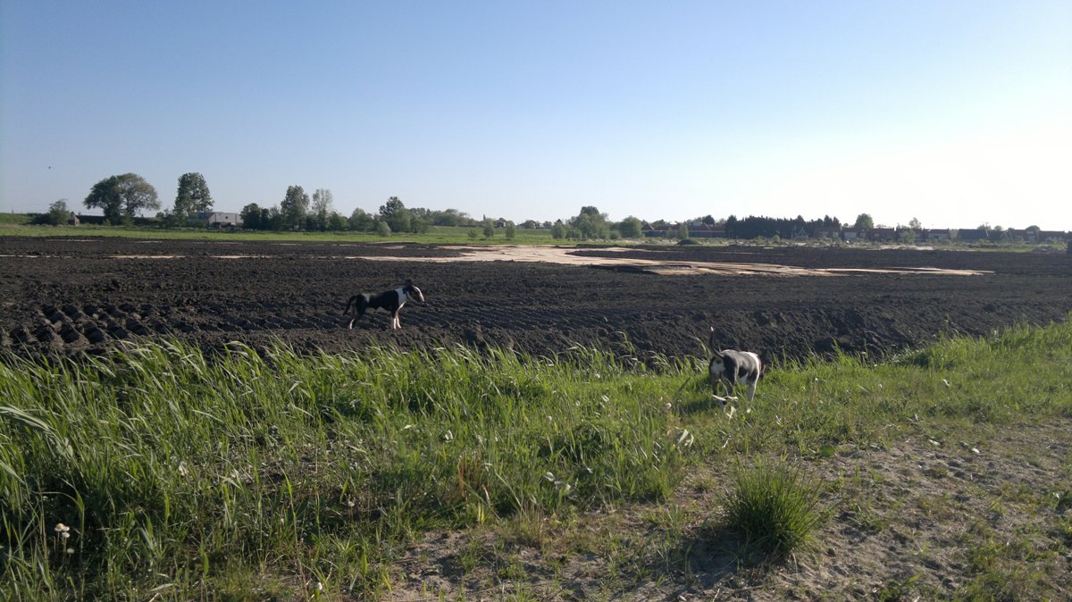 Ja Tess, dat noemen wij mensen nou vooruitgang: binnen een week een natuurgebied veranderen in een bouwput voor de Zaanse bajes, terwijl de helft van de cellen in NL leeg staan...