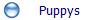 Puppys