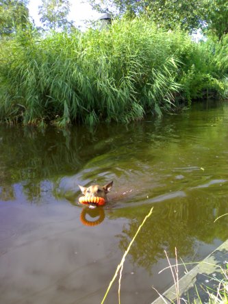 Fetch