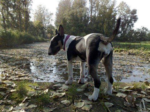 Herfst...