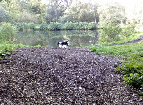 Veldpark