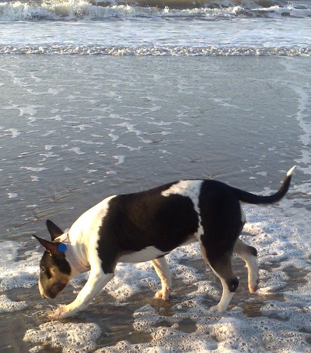 Met Han en Trui 13 december naar het strand