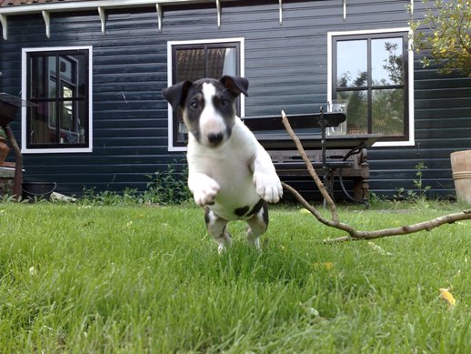 Spelen!