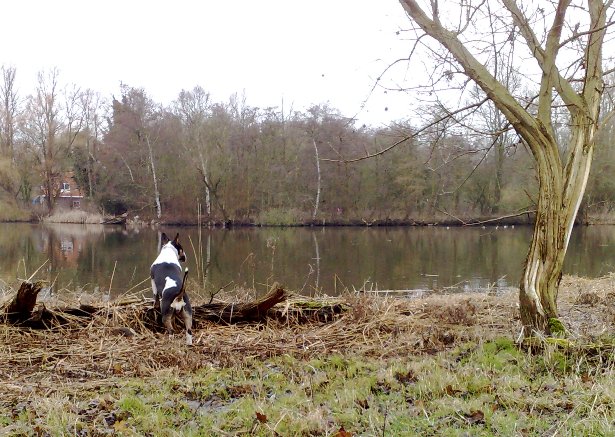 Queen of the lake...