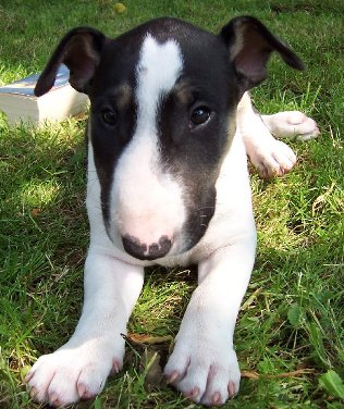 lief...