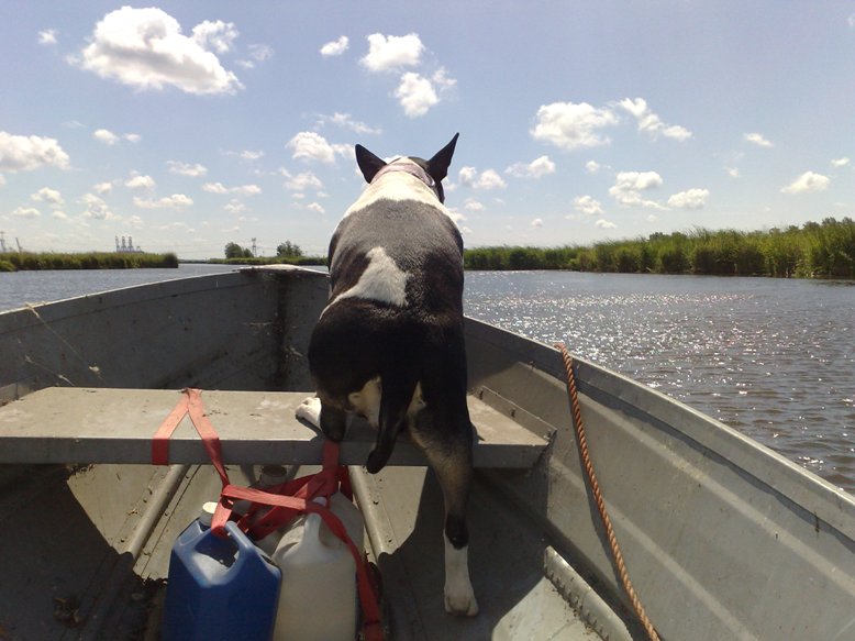 Captain on the bridge.
