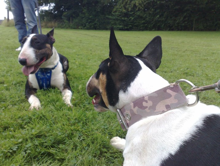 Bono & Gladys