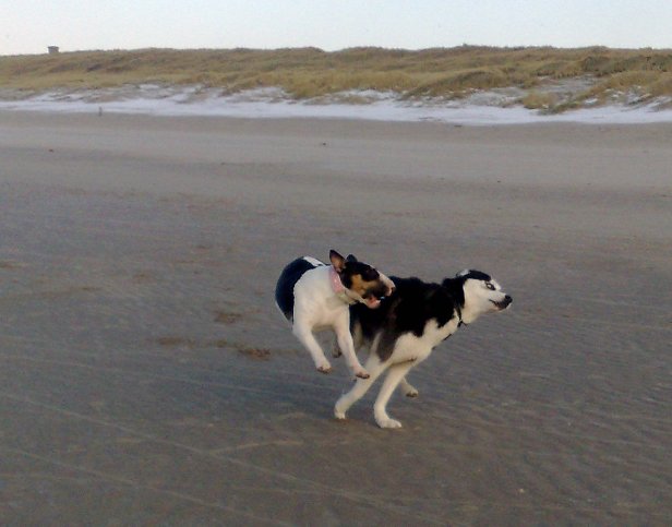 Stoeien met Tyco