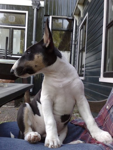 Wat word Gladys groot, ze past al bijna niet meer op schoot, haha!