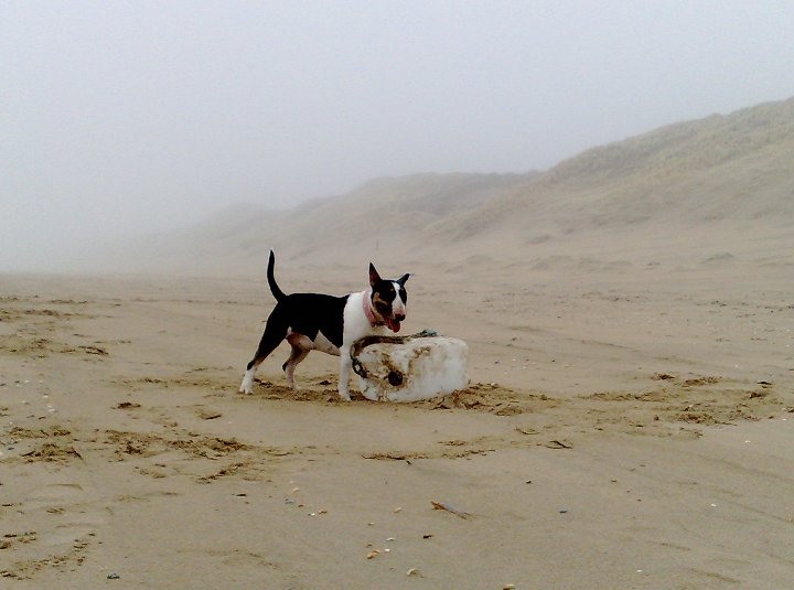 Wijk aan Zee