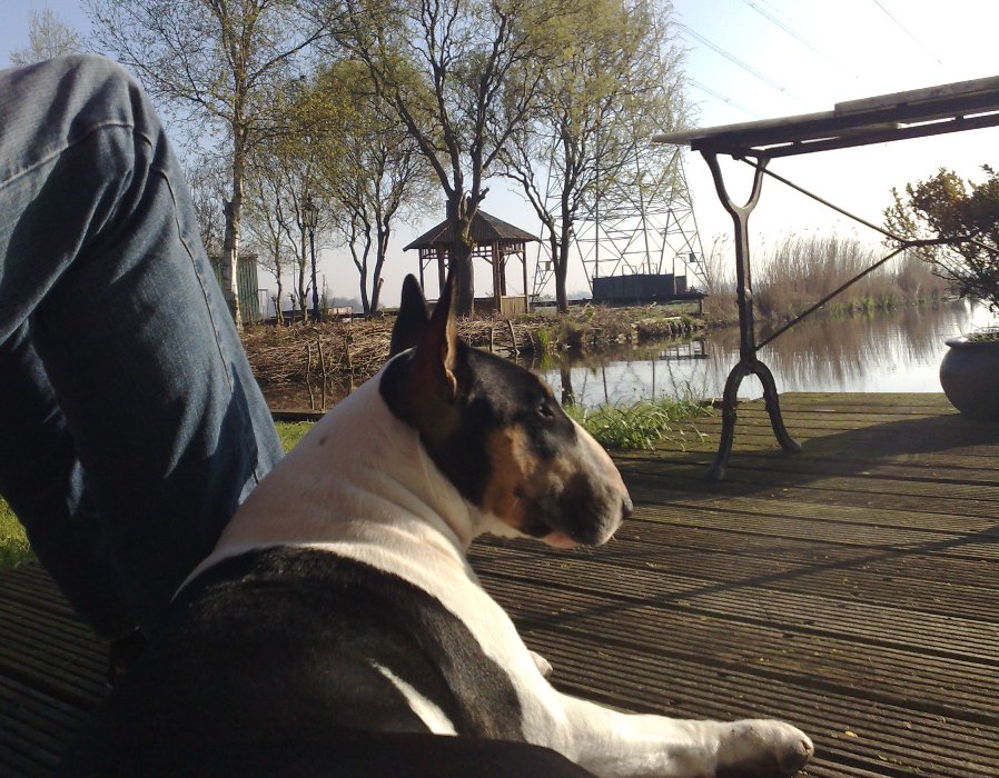 Op de steiger in de tuin