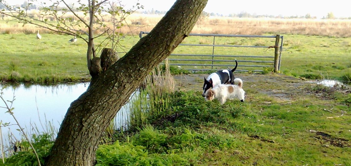 Gladys en Spijkertje