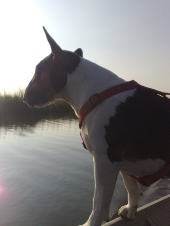 Rondje dorp varen