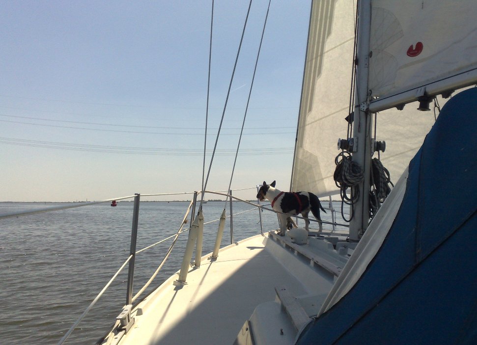 Matroos on deck, al ziet Gladys dat wellicht zelf soms als kapitein on deck