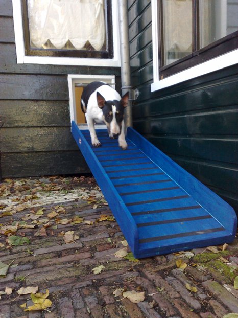 Nieuw trappetje naar de voordeur van Gladys en Merlijn