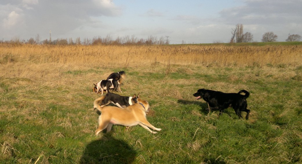 Gladys en Woody op mollenjacht