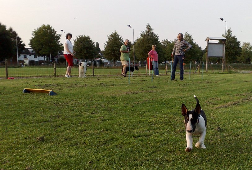 puppycursus...