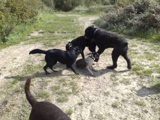 Lekker wild met de grote jongens en meiden meespelen