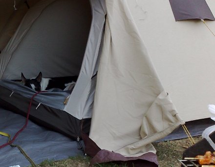 Slaapje tijdens het barbeknoeien